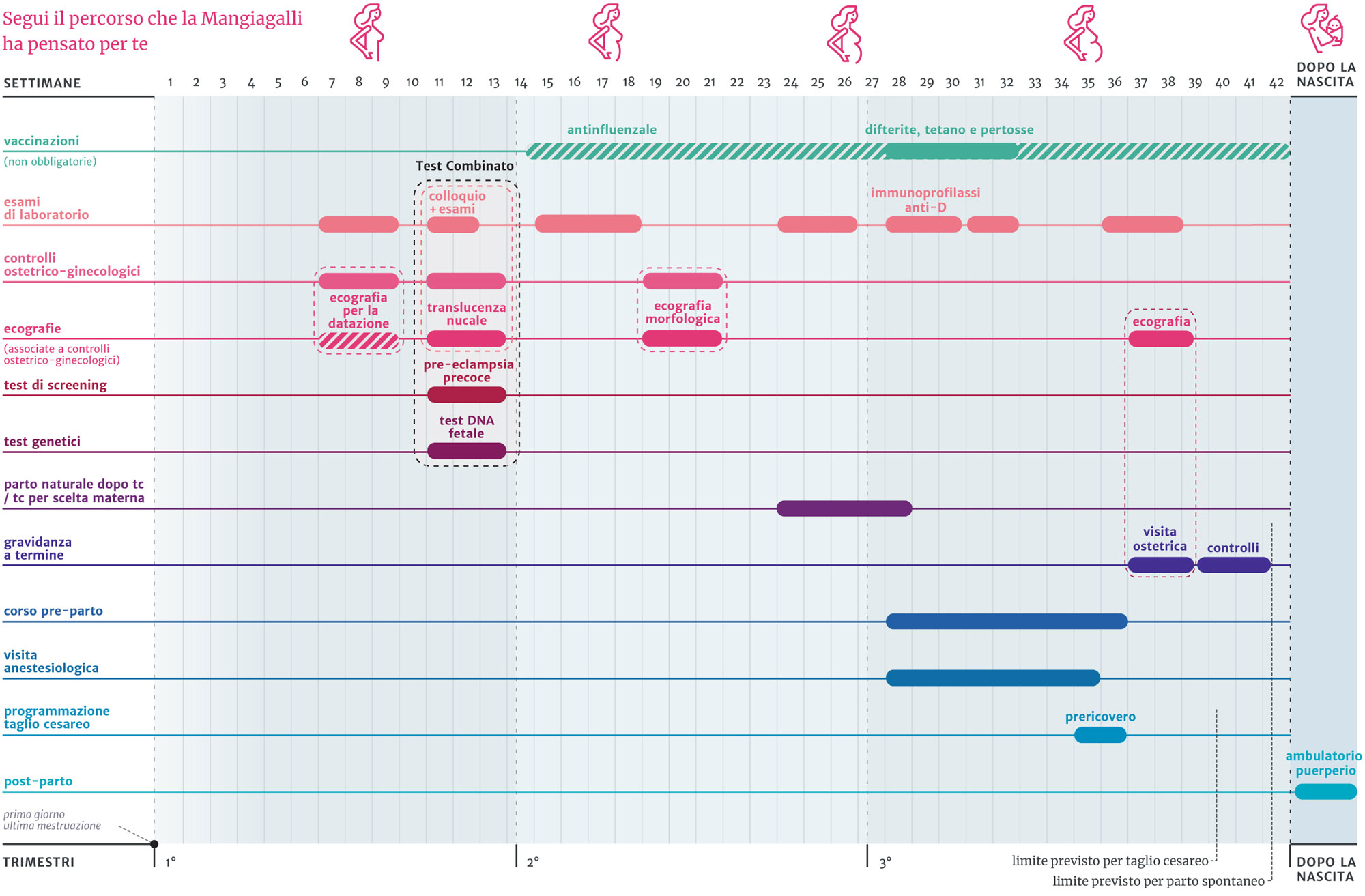 Calendario della gravidanza