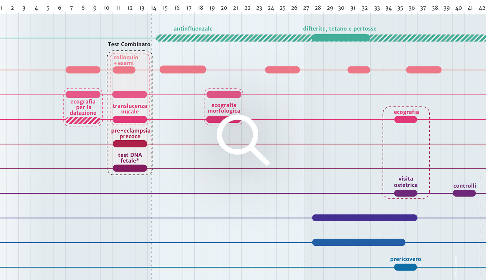 Consulta il Calendario