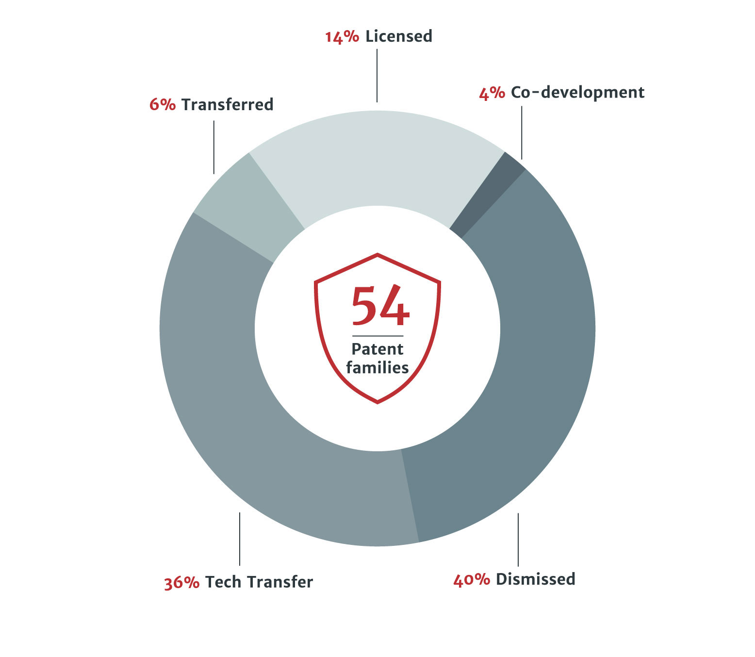 Patent Portfolio Status