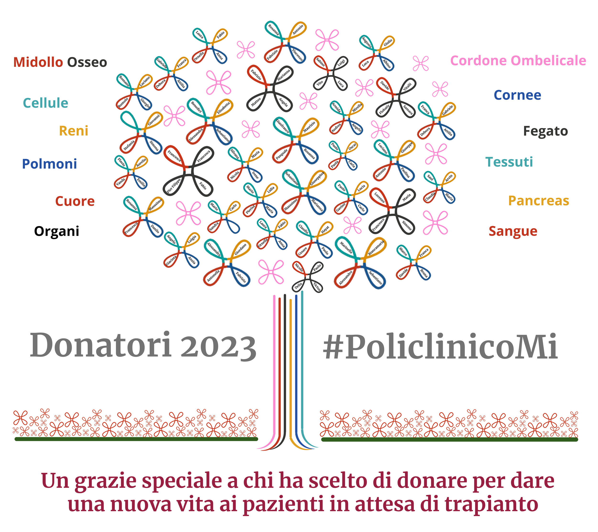 Donor Wall organi 2023