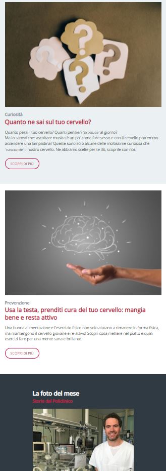 NL cervello